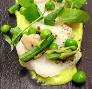 BRINE Spring halibut crudo